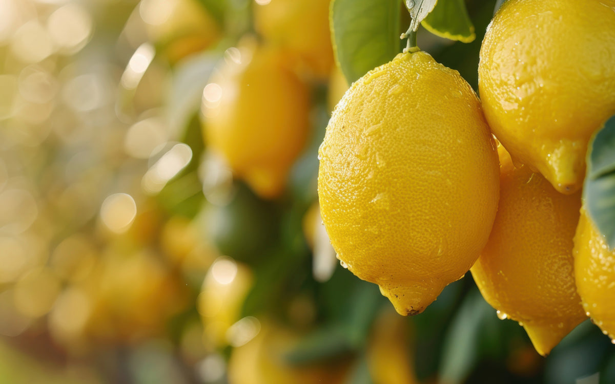 About Alkalizing Diets and Reducing Inflammation