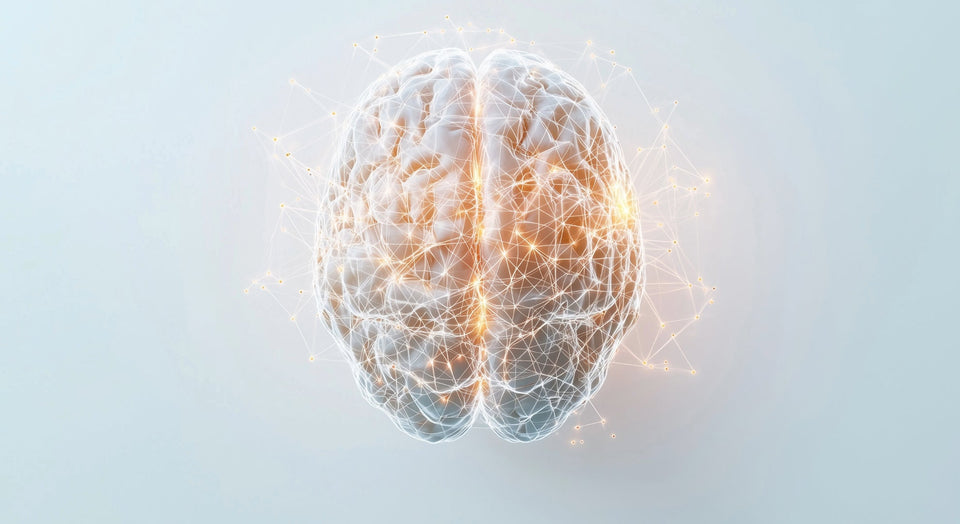 NMN: The Science-Backed Key to Boosting NAD and Unlocking Longevity